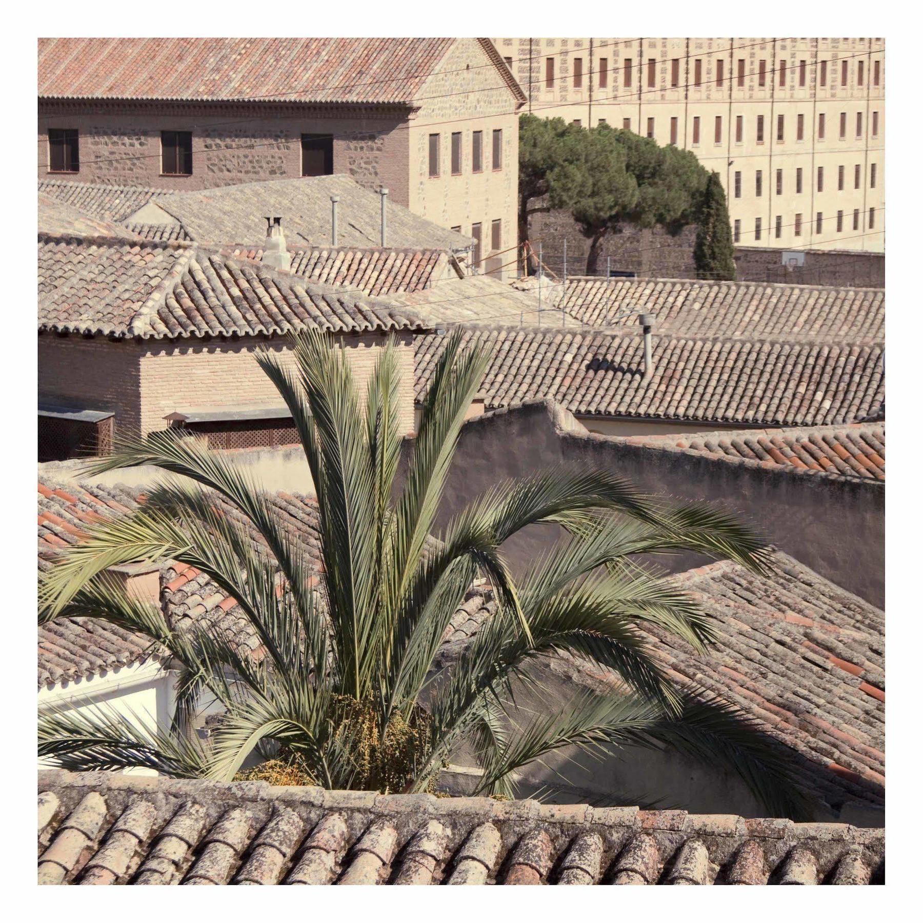 Готель Eugenia De Montijo, Autograph Collection Толедо Екстер'єр фото Phoenix canariensis